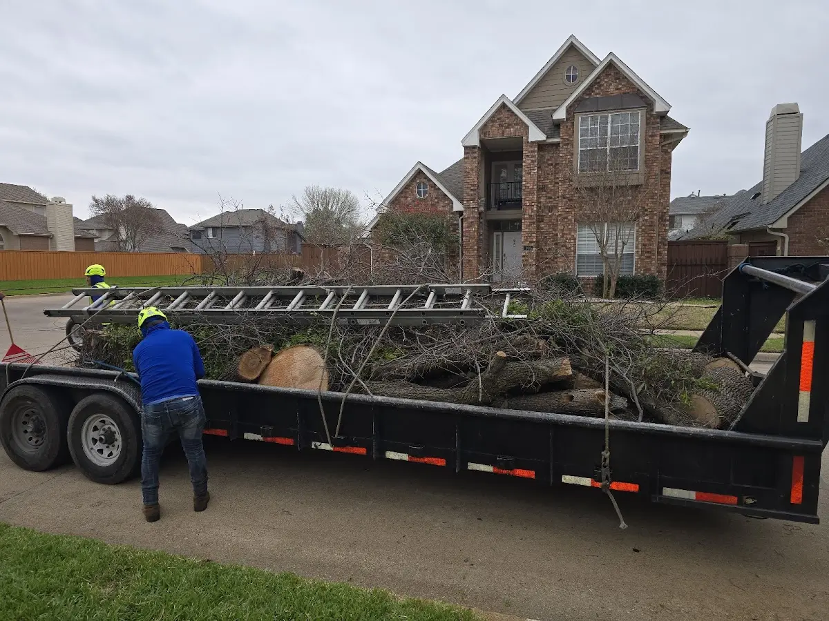Expert Lot Clearing with proper safety equipment in Barberton